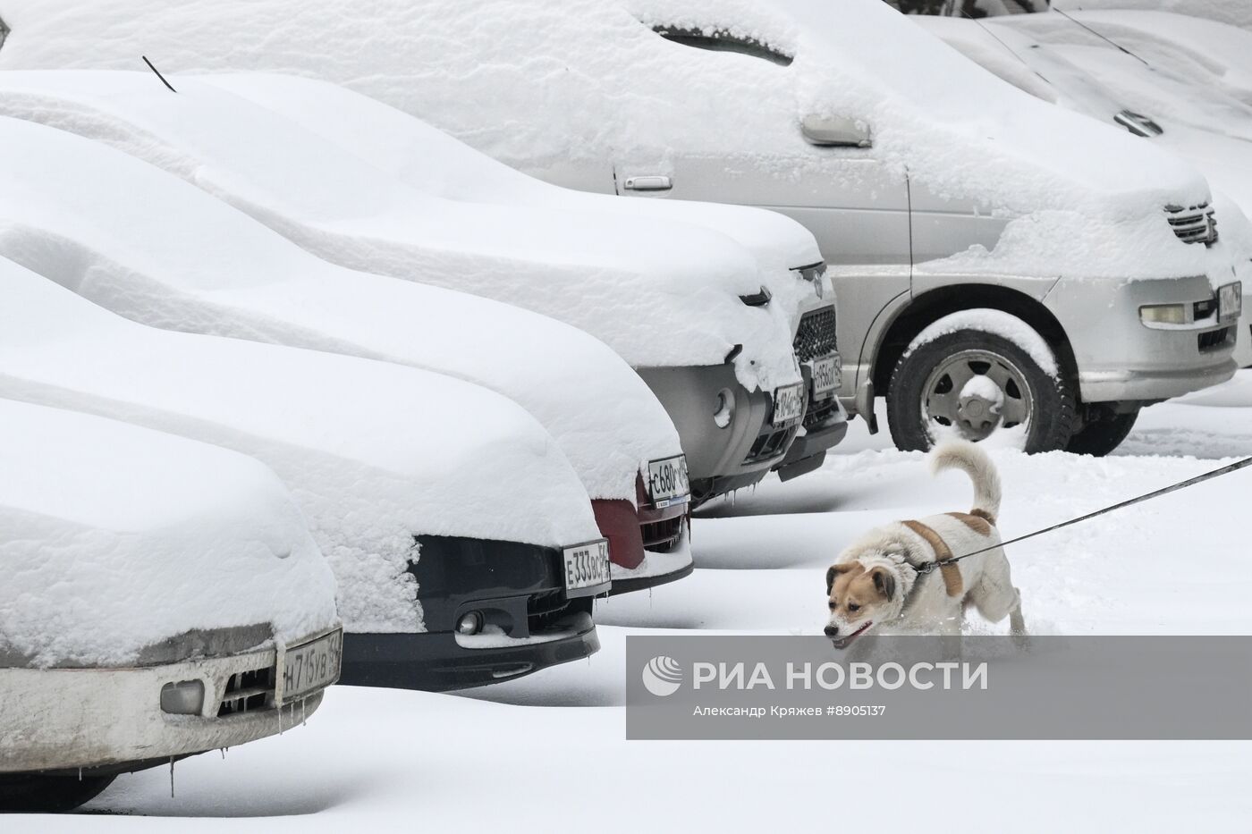 Снегопад в Новосибирске
