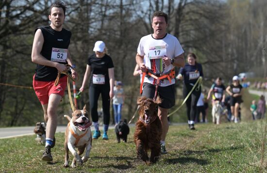 Кросс "Быстрый пес"