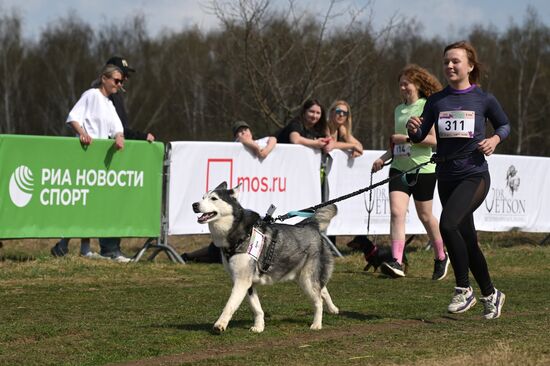 Кросс "Быстрый пес"