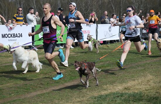 Кросс "Быстрый пес"