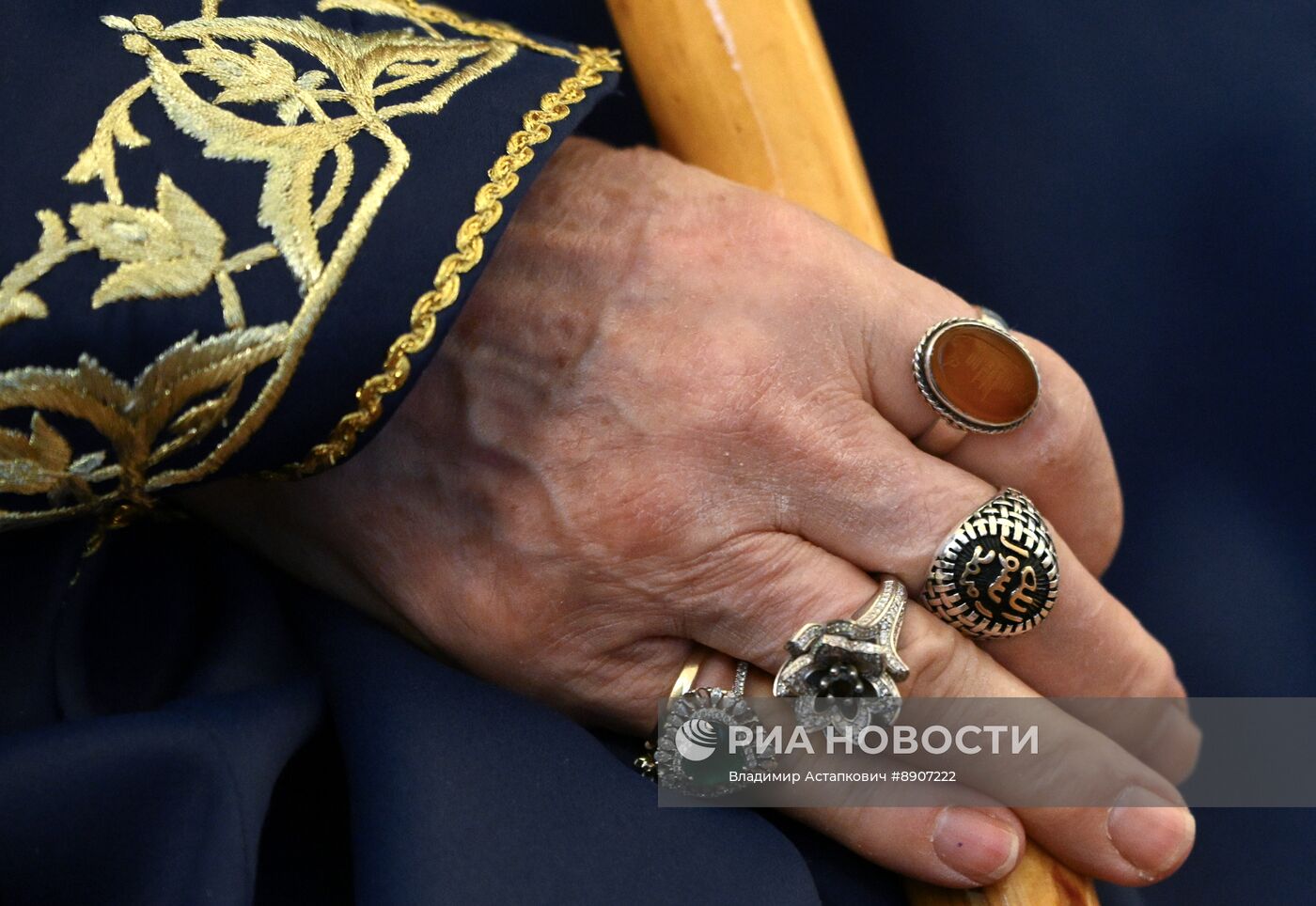 Глава МИД РФ С. Лавров выступил на встрече ГСВ "Россия - Исламский мир" с послами стран ОИС