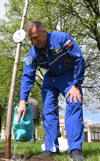 Международная акция "Сад памяти" 