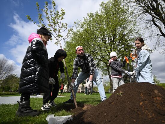 Международная акция "Сад памяти" 