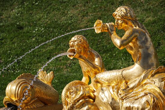 Открытие сезона фонтанов в Петергофе