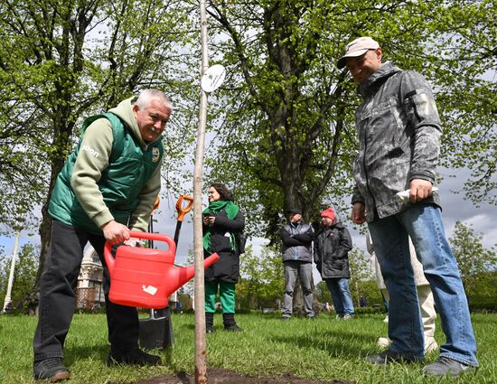 Международная акция "Сад памяти" 