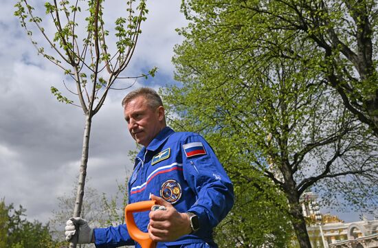 Международная акция "Сад памяти" 