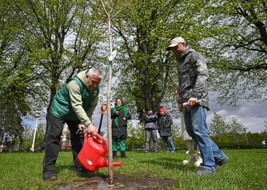Международная акция "Сад памяти" 