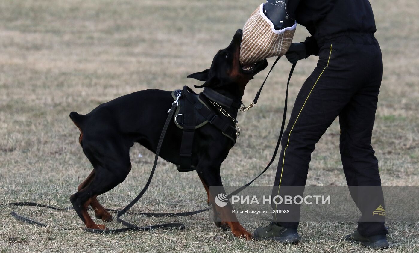 Повседневная жизнь в Красноярске