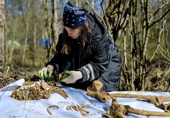 Поисковая экспедиция "Волховский фронт. Гайтолово"