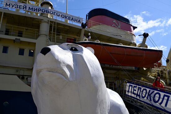 Фестиваль ледоколов в Санкт-Петербурге