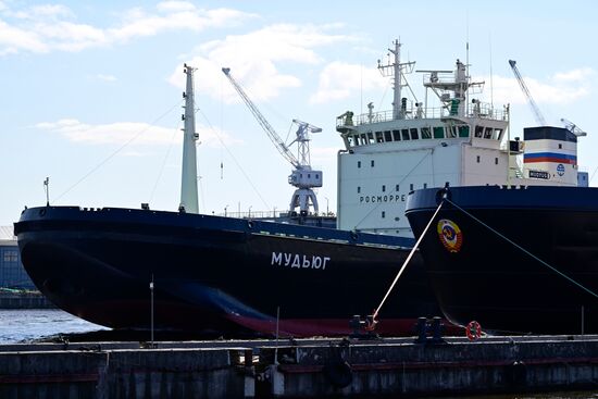 Фестиваль ледоколов в Санкт-Петербурге