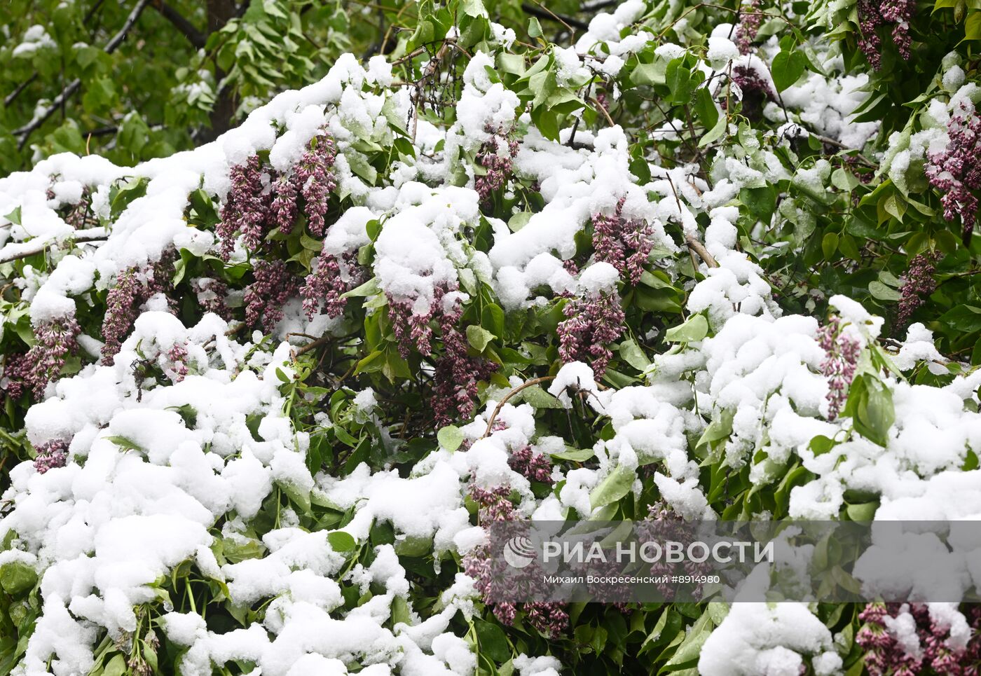 Снег в Москве