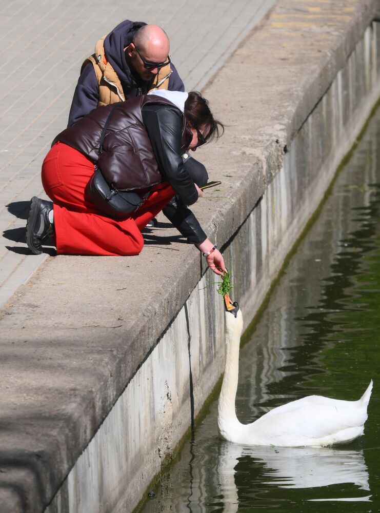 Город-герой Смоленск