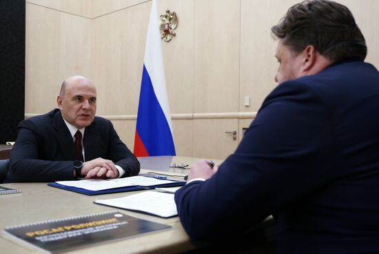 Премьер-министр РФ М. Мишустин встретился с генеральным директором "Росагролизинга" П. Косовым