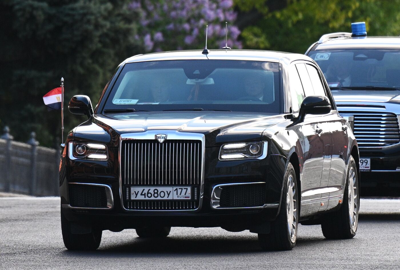 Встреча президента РФ В. Путина и президента Египта Абделя Фаттаха Ас-Сиси