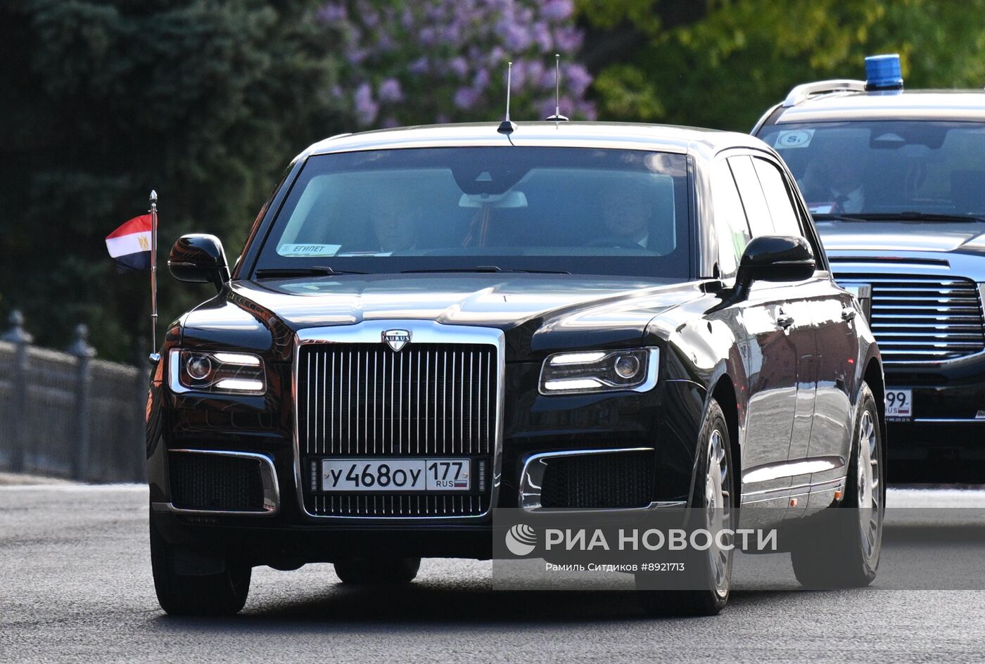 Встреча президента РФ В. Путина и президента Египта Абделя Фаттаха Ас-Сиси