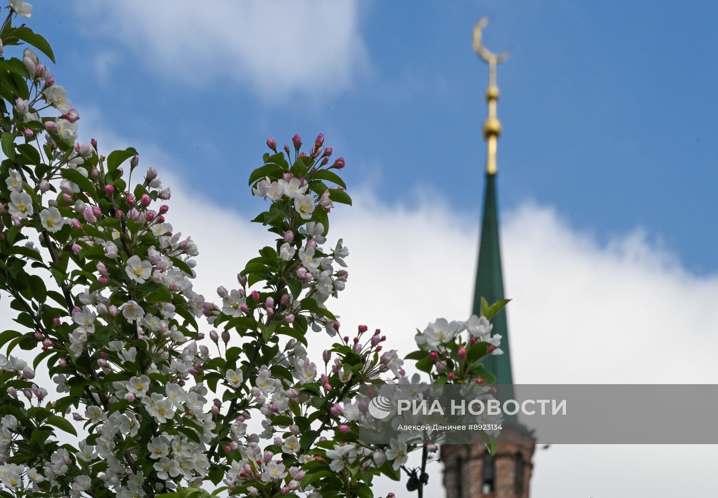 Повседневная жизнь в Казани
