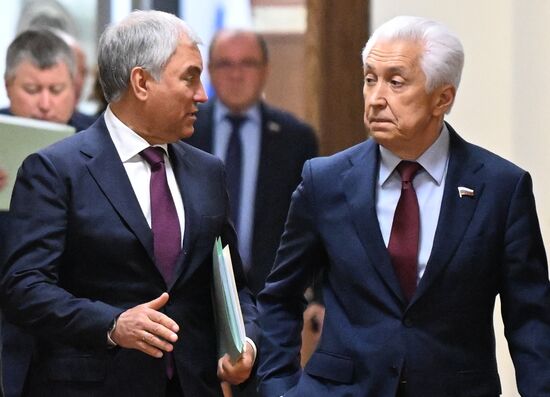 Пленарное заседание Госдумы РФ 