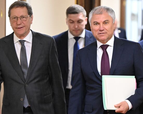 Пленарное заседание Госдумы РФ 