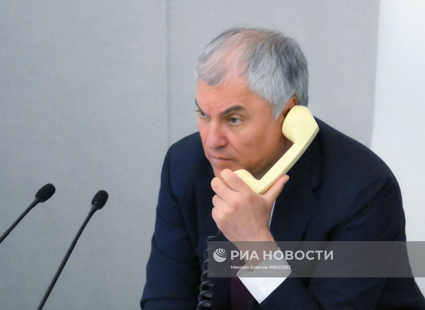 Пленарное заседание Госдумы РФ 