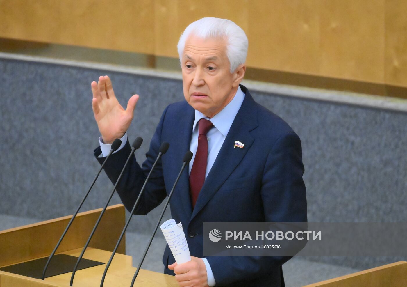 Пленарное заседание Госдумы РФ 