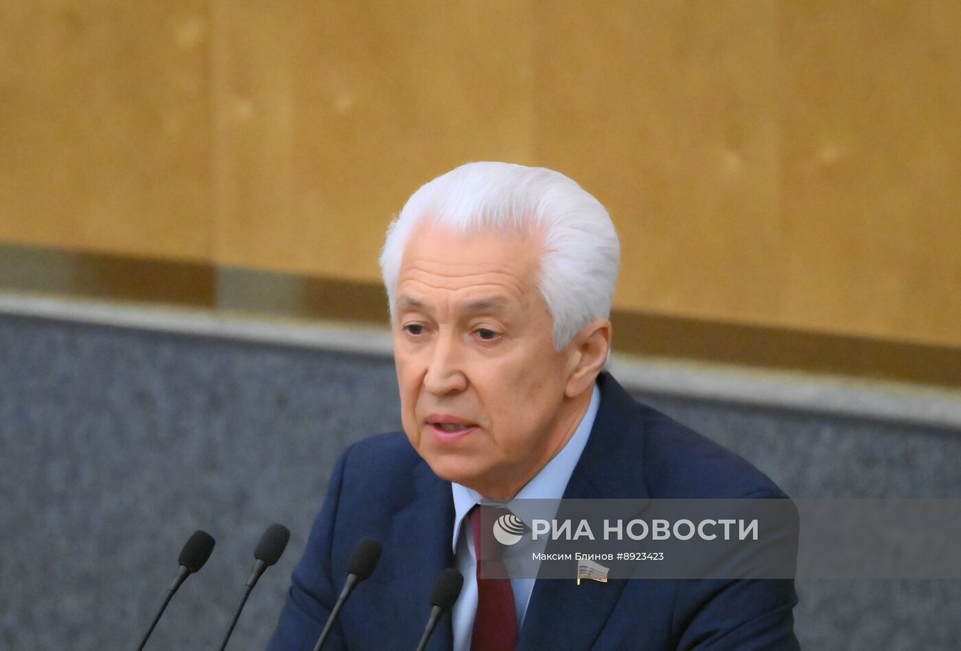 Пленарное заседание Госдумы РФ 