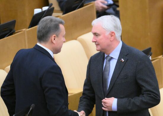 Пленарное заседание Госдумы РФ 