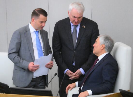 Пленарное заседание Госдумы РФ 