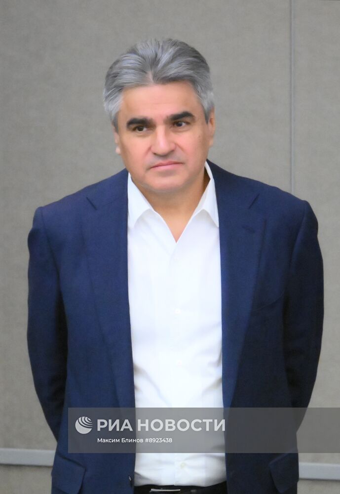 Пленарное заседание Госдумы РФ 