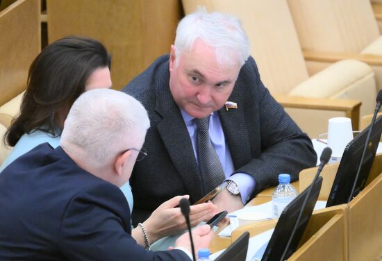 Пленарное заседание Госдумы РФ 