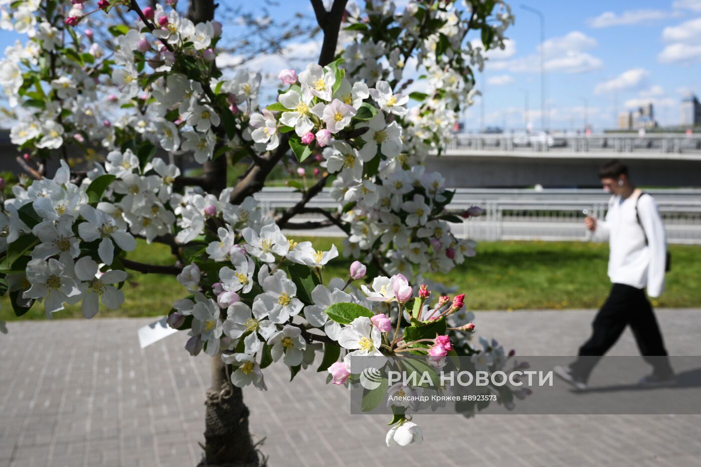 Повседневная жизнь в Казани