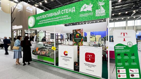 KAZANFORUM 2025. Работа форума