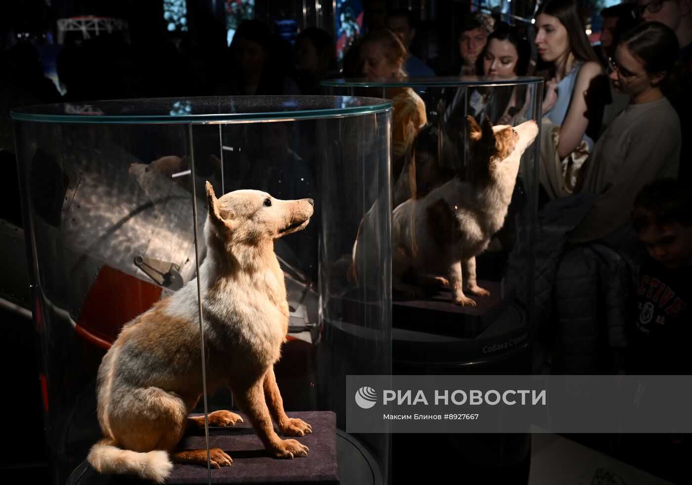 Акция "Ночь музеев"