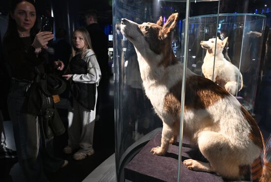 Акция "Ночь музеев"