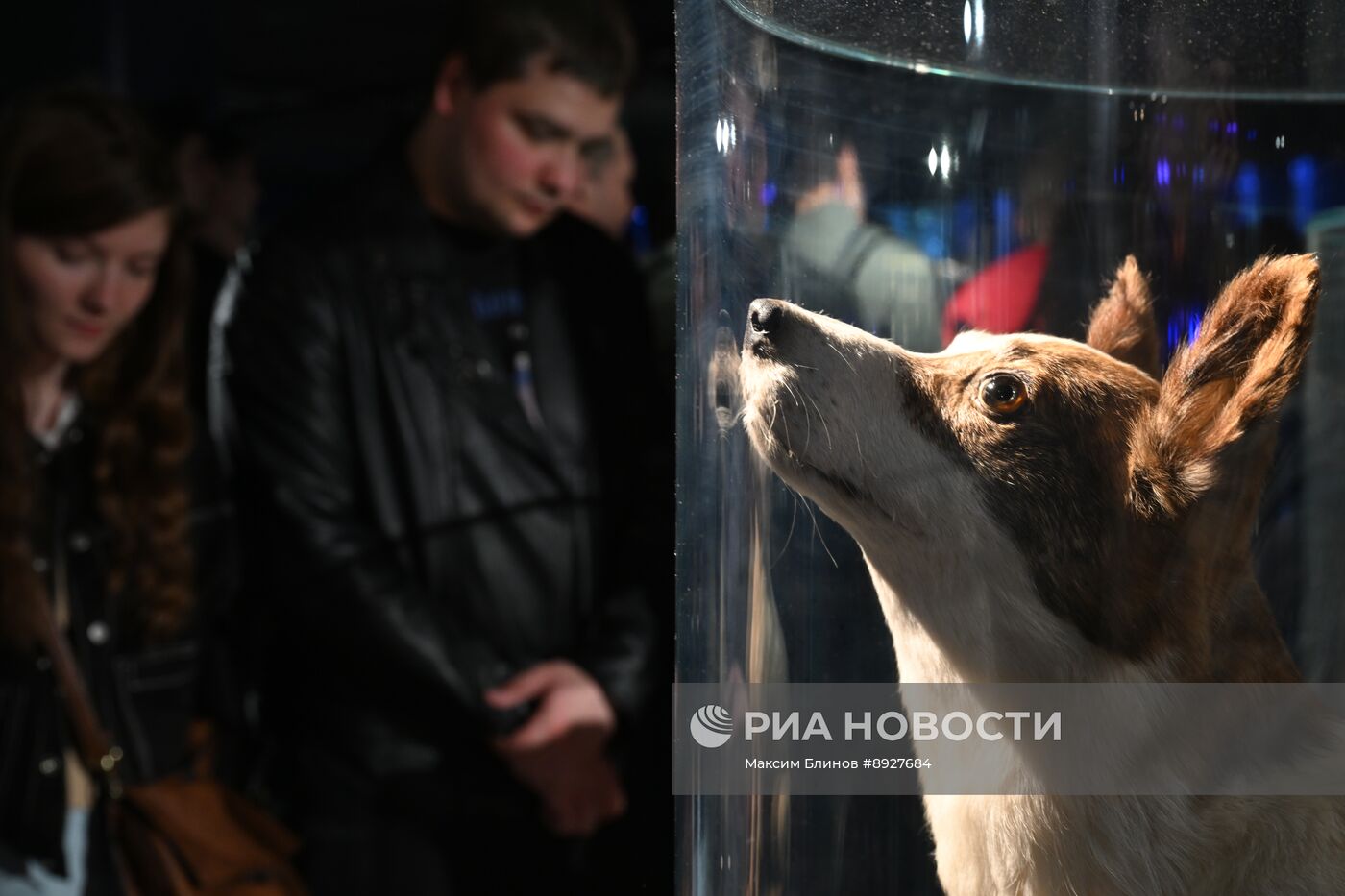 Акция "Ночь музеев"