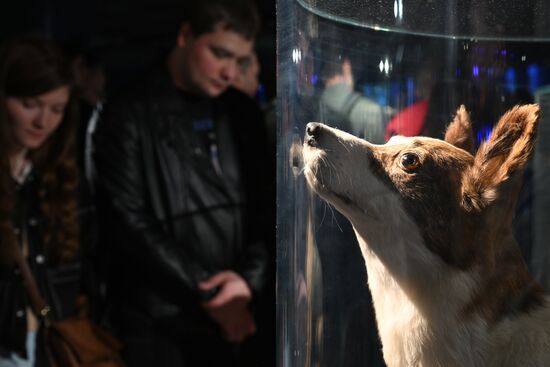 Акция "Ночь музеев"