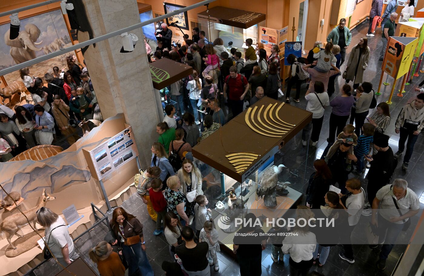 Акция "Ночь музеев"