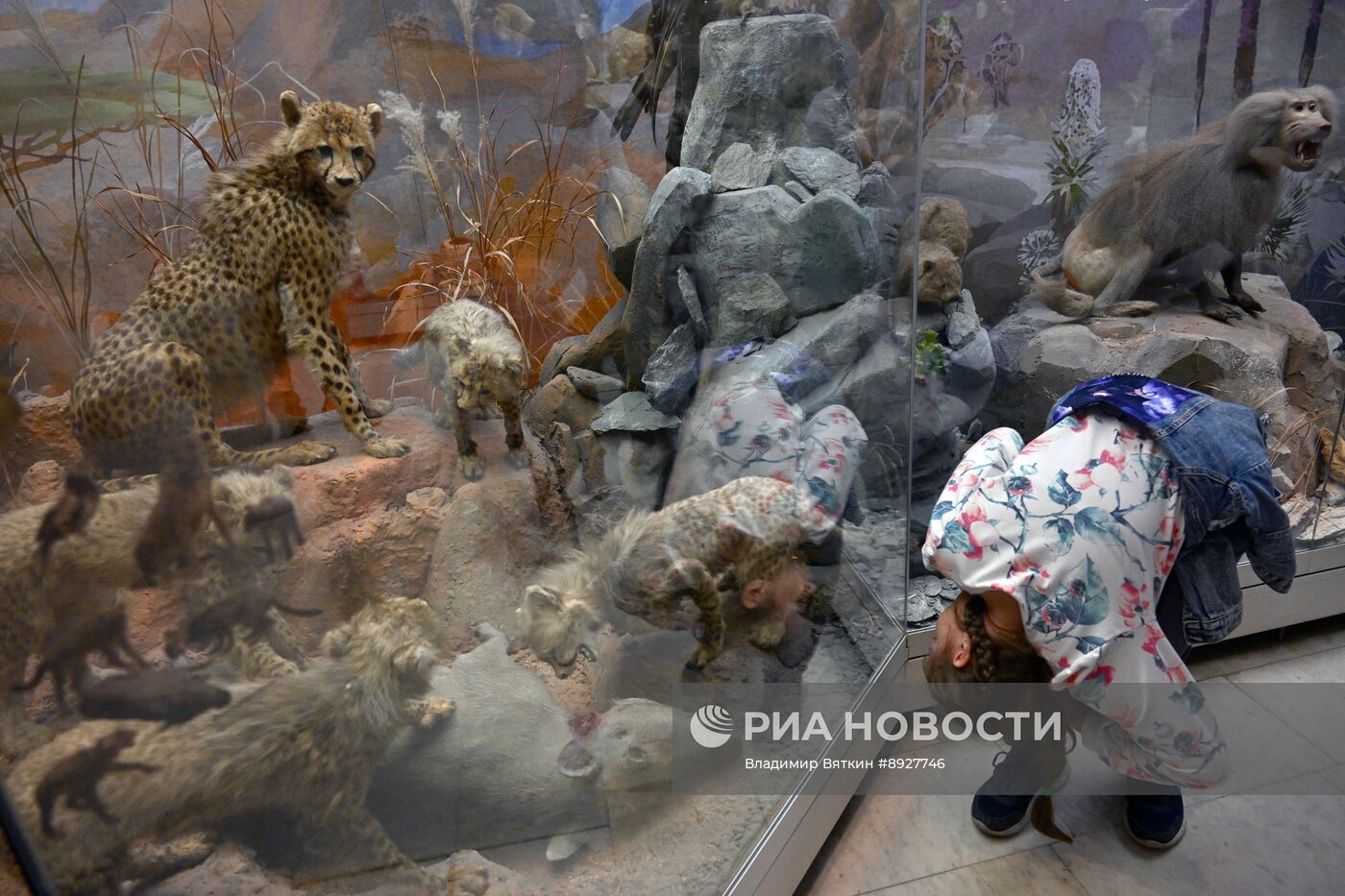 Акция "Ночь музеев"