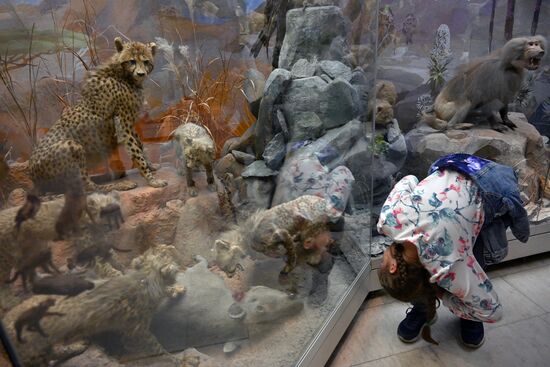 Акция "Ночь музеев"