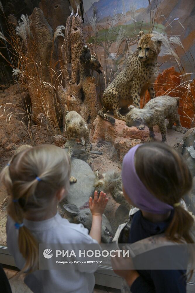 Акция "Ночь музеев"