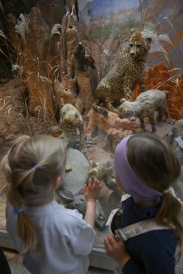 Акция "Ночь музеев"