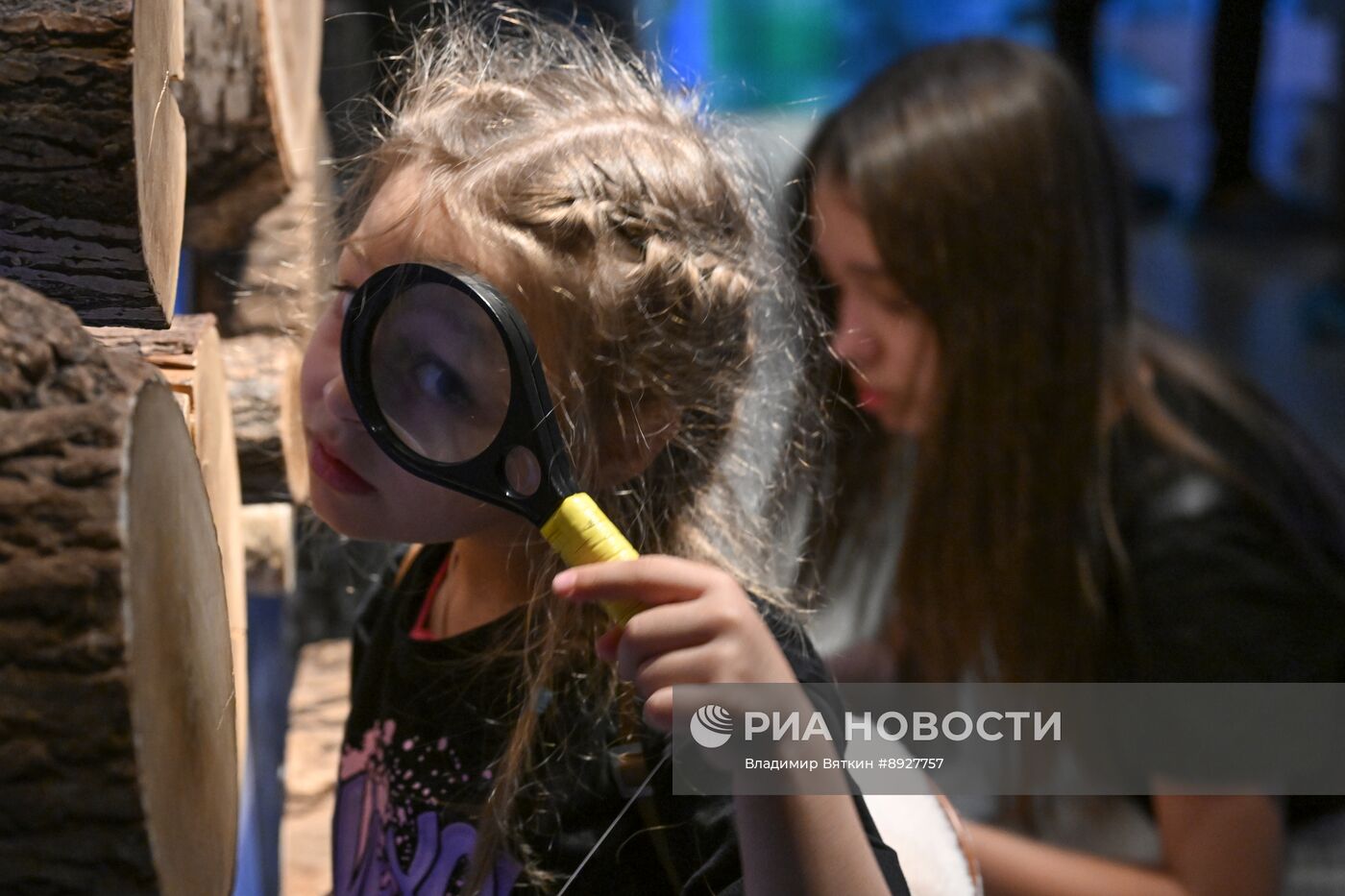 Акция "Ночь музеев"