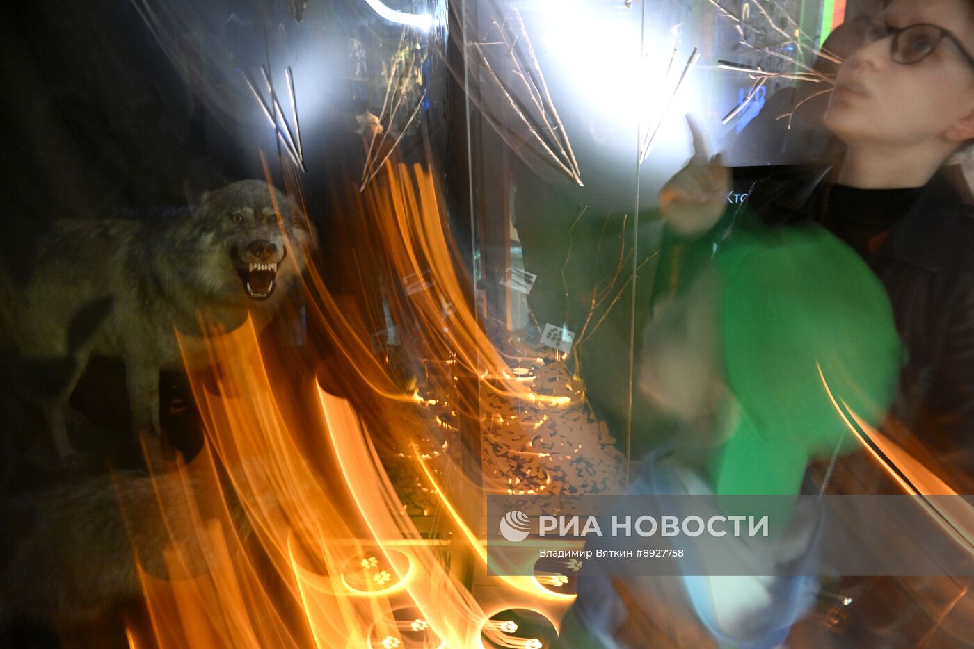 Акция "Ночь музеев"