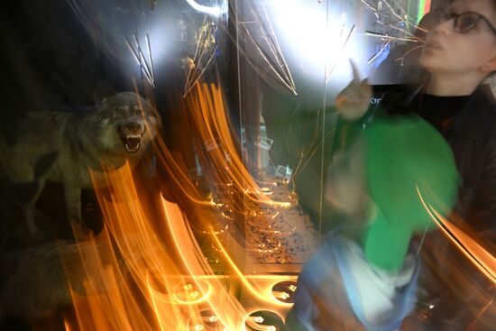 Акция "Ночь музеев"