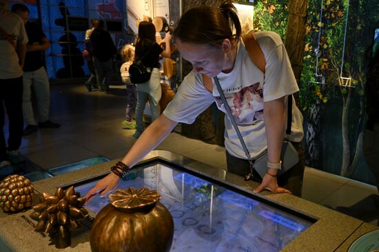 Акция "Ночь музеев"