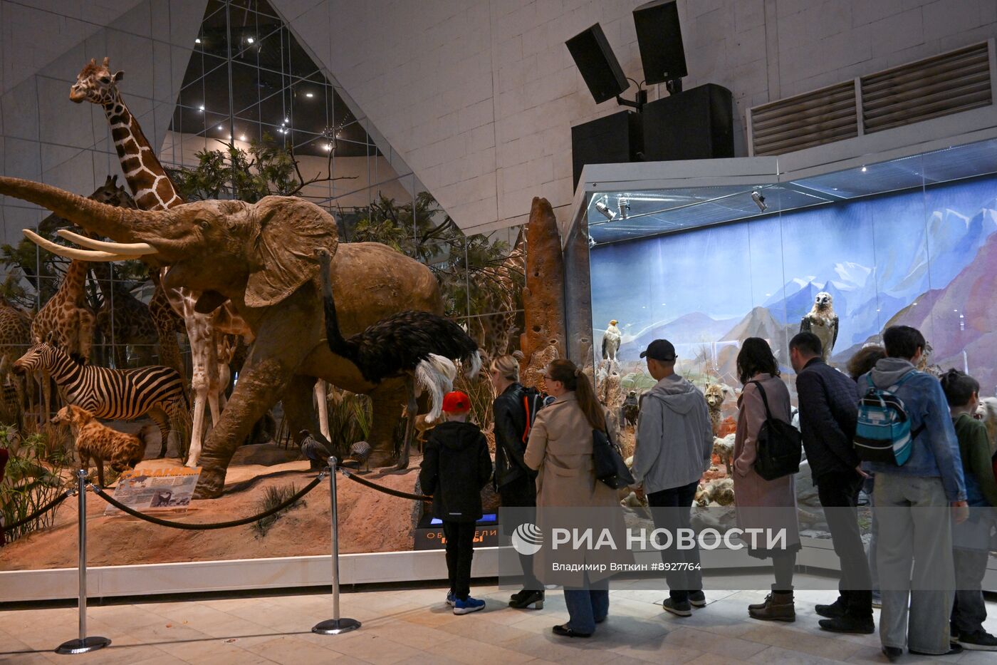 Акция "Ночь музеев"