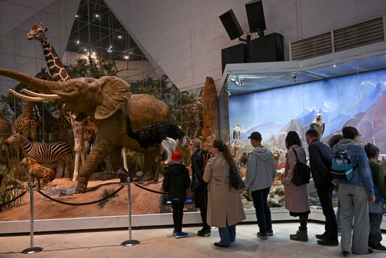 Акция "Ночь музеев"