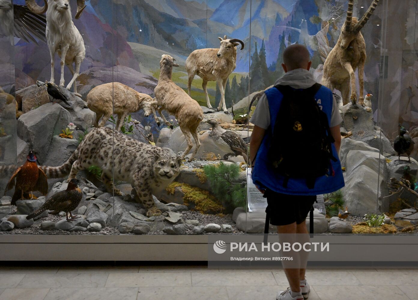 Акция "Ночь музеев"