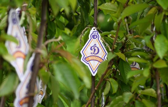 Посадка деревьев в рамках фестиваля "Черешневый лес"