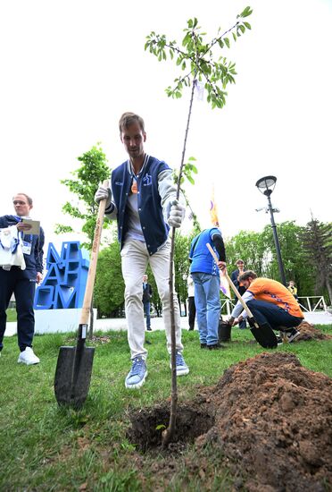 Посадка деревьев в рамках фестиваля "Черешневый лес"